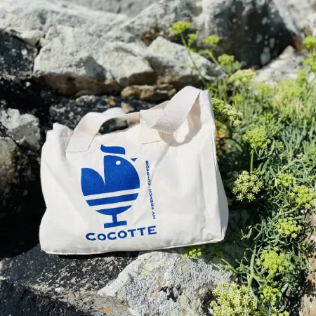 Bretagne Mer Ocean Sable