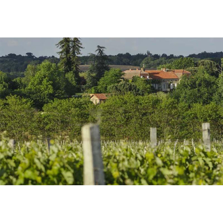 Uby Bio n°21 - Colombage, Ugni Blanc, Sauvignon