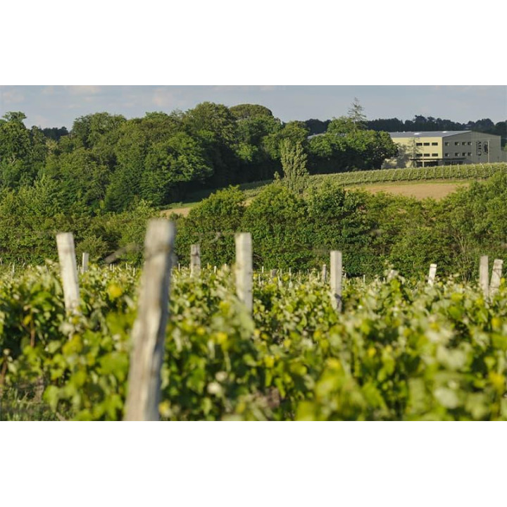 Uby Bio n°24 - Gros Manseng