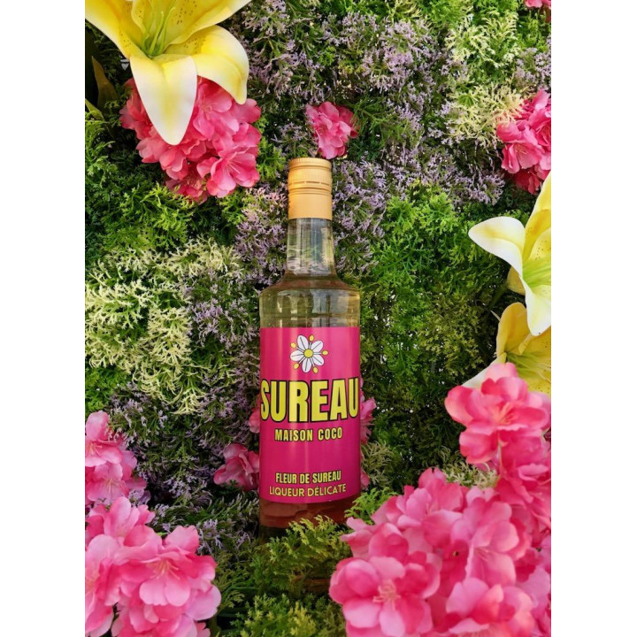 Sureau - Liqueur de fleur de sureau Nantes par Maison Coco - Cocktail
