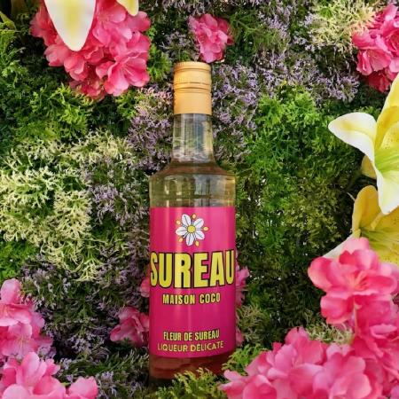 Liqueur de Fleur de Sureau par Maison Coco Nantes