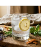 Gin français