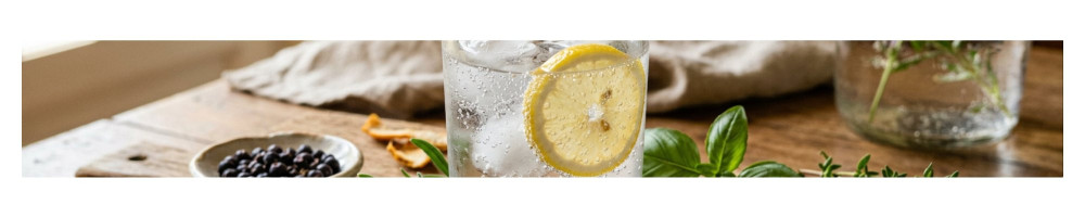 Gin du monde : notre sélection des meilleurs gins du monde | My French Comptoir
