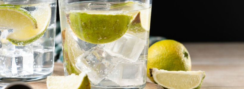 Conseils sur le Gin